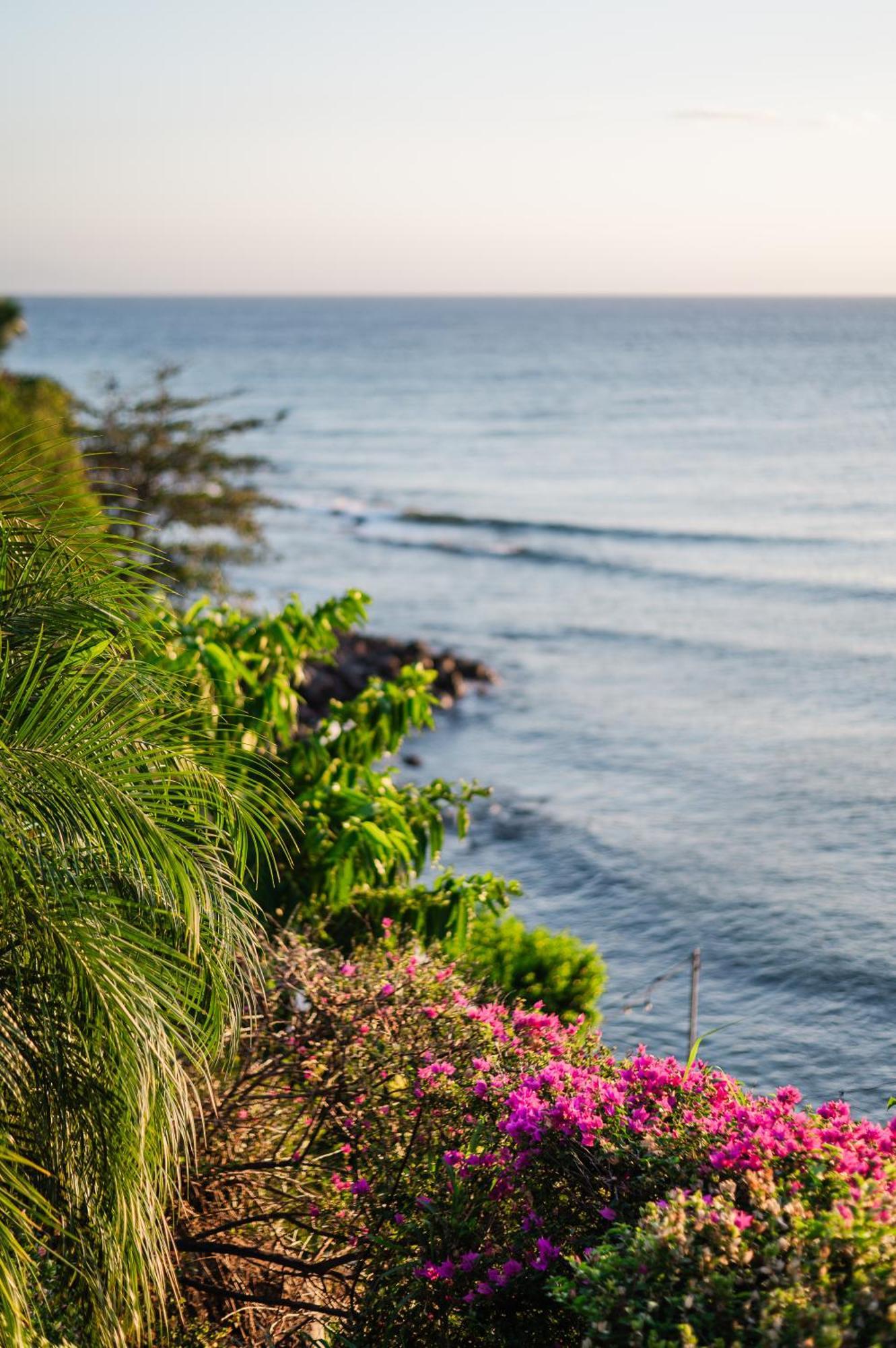 Sunset Reef St. Kitts Hotel Ottleyʼs Village Екстериор снимка